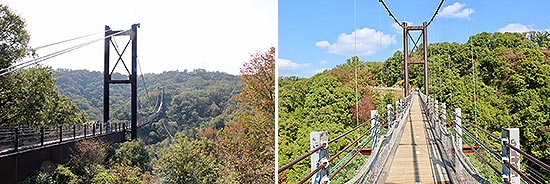 suspended bridge in japan