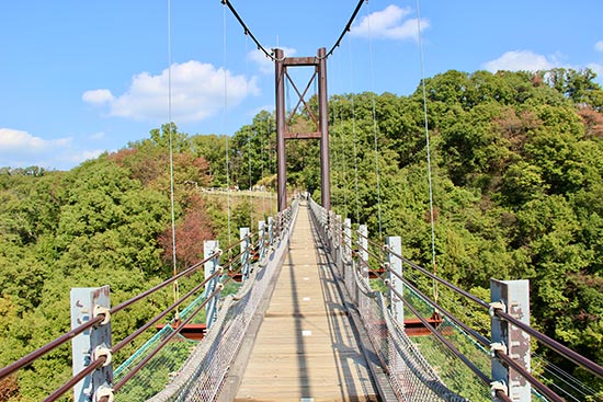 Hoshi no Branco, suspended bridge, Japan