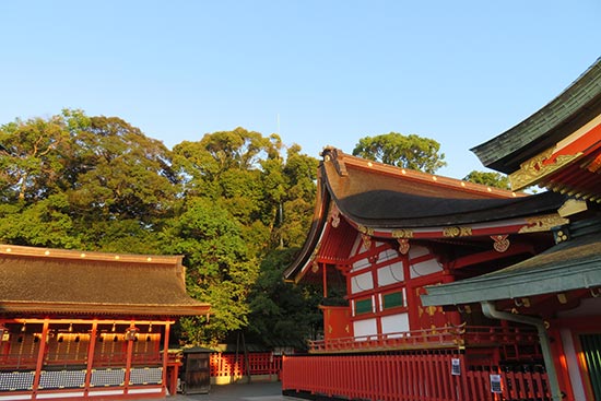 Fushimi-inari