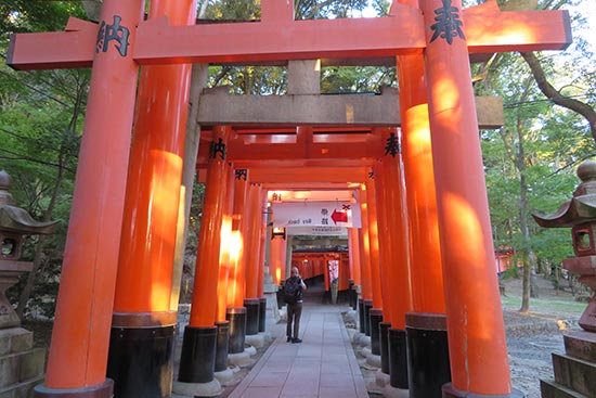 Fushimi-inari