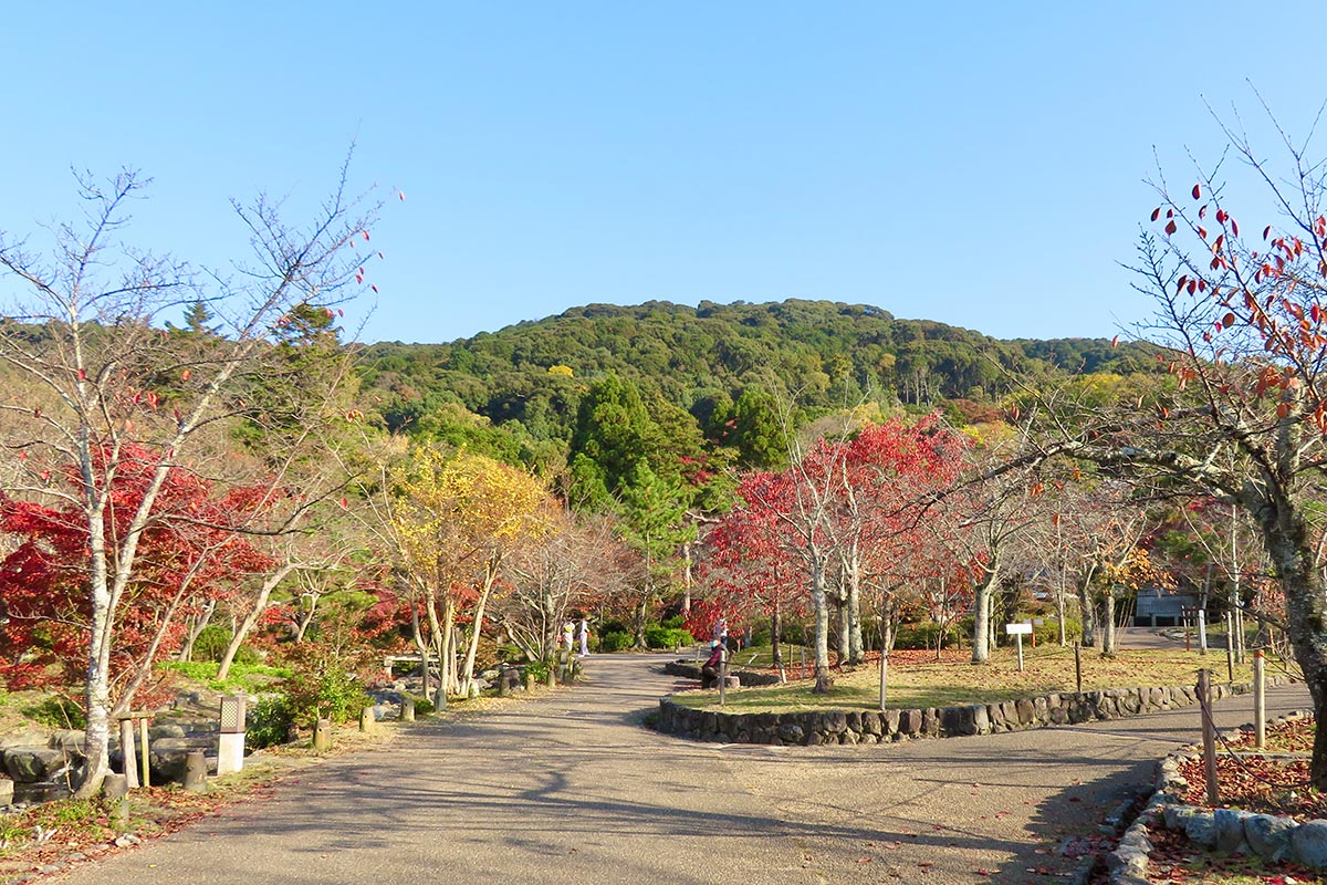 Maruyama Park, Kyoto